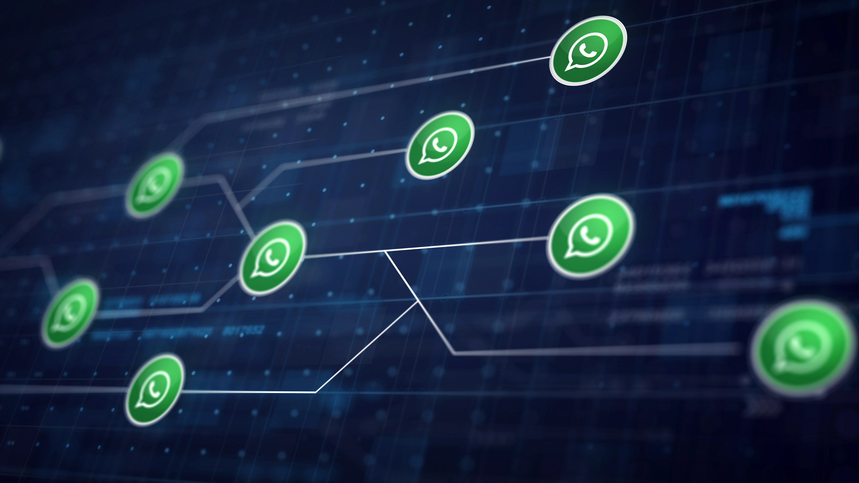 Wie man Leads über WhatsApp gewinnt und qualifiziert: Praxisleitfaden